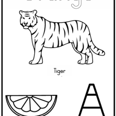 Grade R Colours: Colouring 1 (Age: 3-6 years)