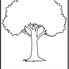 Grade R Colours: Colouring 4 (Age: 3-6 years)