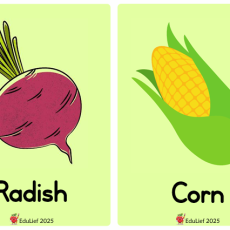Grade R Flashcards: Vegetables (Age: 3-6 years)