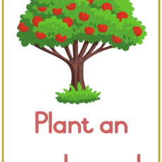 Grade R Pretend Play: Apple Orchard (Age: 3-6 years)