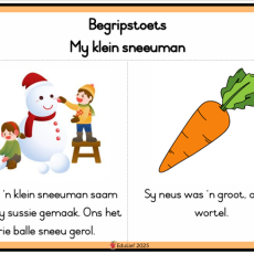 Graad R Leesstuk: Begripstoets (Ouderdom 3-6jaar)